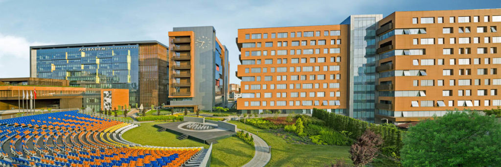 acibadem university