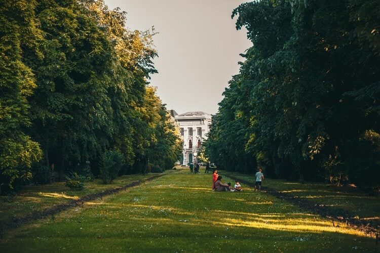 Study Medicine in Bucharest