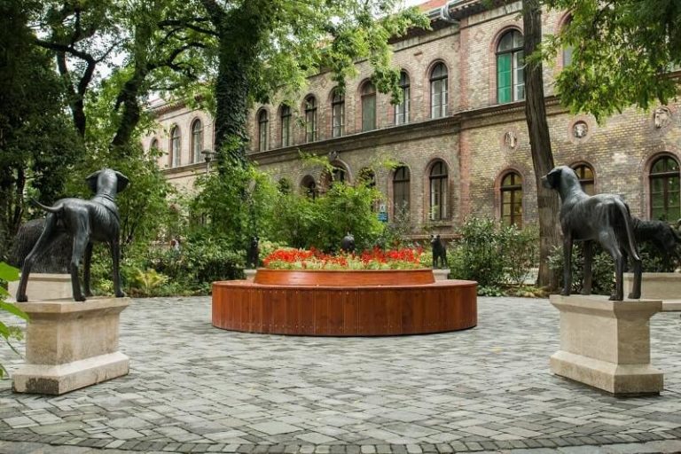 University of Veterinary Medicine Budapest study veterinary