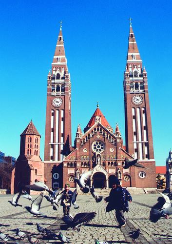 study in hungary